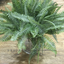 Simulation green plant Poston ferns Fern Leaves Mini Short Branches Spray White Ribs Grass Polo Botanical Flowers Vegetal Wall Decoration Plant