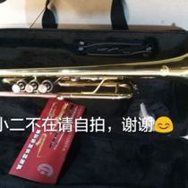 West Trumpet Down B- Tune Phosphorus Copper Supervisor Trumpet (Sino-German Joint Venture) Small 2 Please Take Selfie in Absent