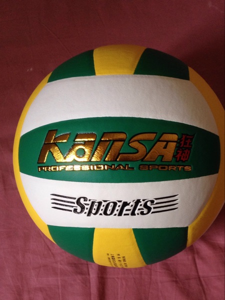 Ballon de volley - Ref 2012069 Image 4