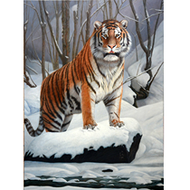 Chen Jun Tiger Tiger raw WeiRealistic oil painting on canvas Living room decorative painting collection pure hand-painted