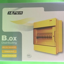 Longxing Distribution Box B10 Loop Earth Leakage Breaking Strong Electric Air Switch Lighting Wiring Box