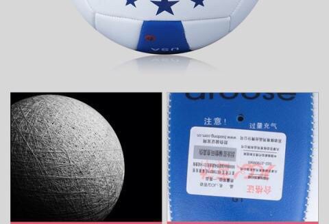 Ballon de volley-ball - Ref 2009480 Image 12