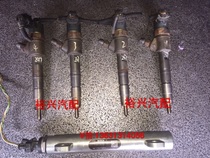 Great Wall Haverwind Jun spray oil nozzle 0445110293 Diehl 2 8TC oil injection nozzle 2 5TCI diesel oil injector
