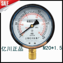 Factory direct sales Shanghai Yichuan instrument factory seismic and earthquake-resistant pressure gauge YN100 0~0 25mpa
