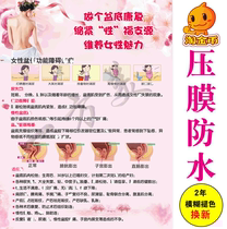 Custom health hall wall chart postpartum pelvic floor muscle repair posters poster display board photo custom printing do KT board