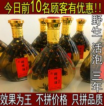 Tiger-headed bee wine wasp wine black wasp wine wasp wine bee wine wild wasp wine farmer’s own brew in the mountains