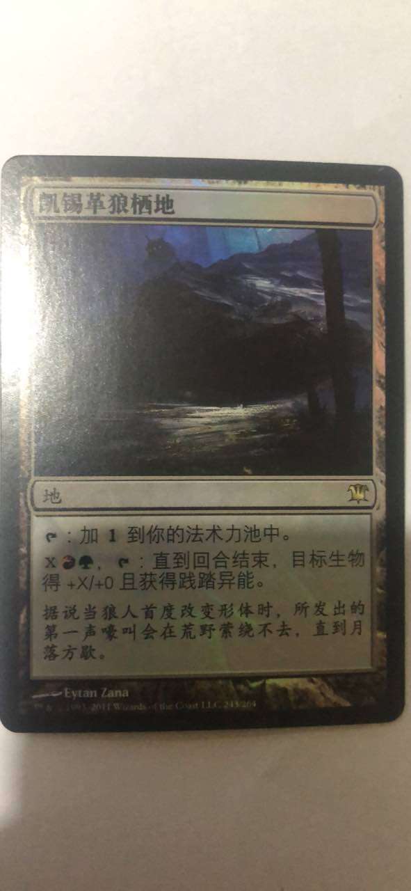 Dumb Dragon Card Magic: The Gathering Kesig Wolf Habitat Simplified Chinese Innistrad ISD Physical Map Flash