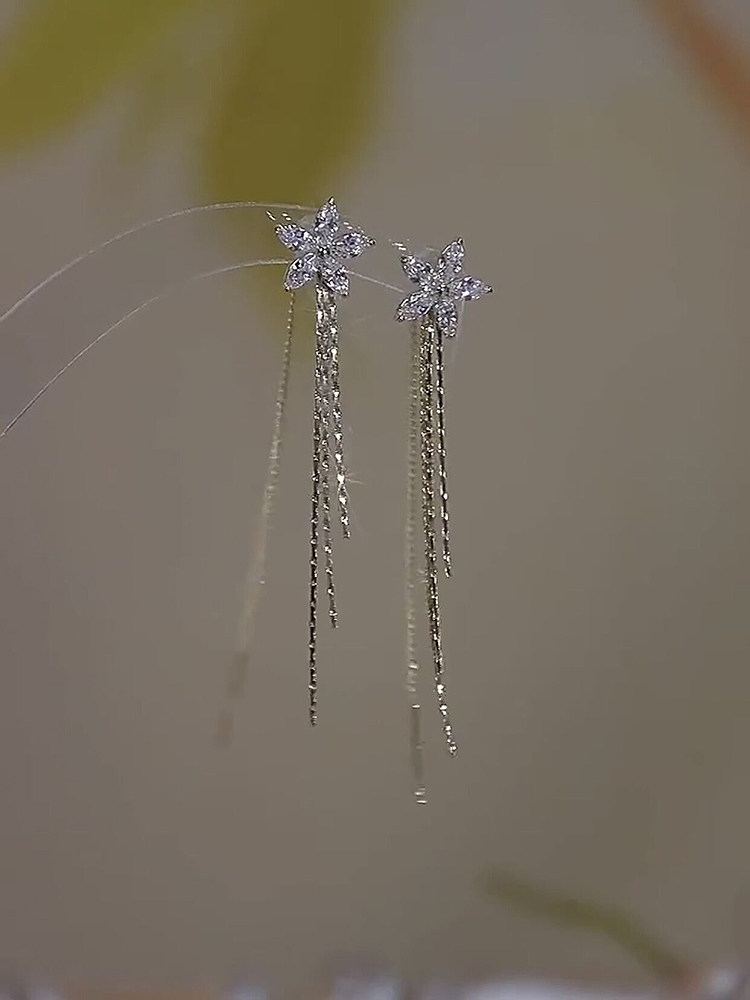 银饰耳饰 None 9999 2025