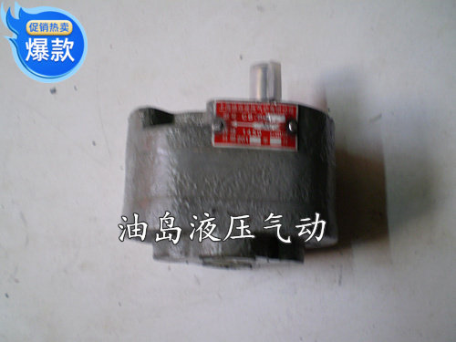 Oil pump hydraulic pump gear pump gear pump gear pump CB-B10