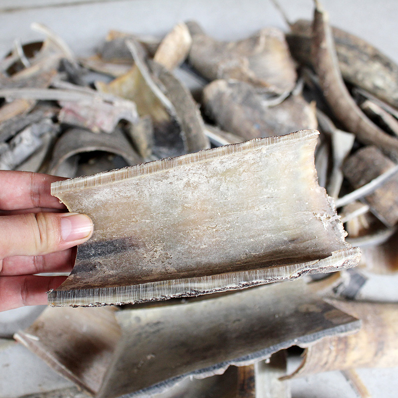 Natural Yak Horn Raw Material Black Buffalo Horn Raw Edge Leftover Material White Buffalo Horn Leftovers Gross Crushed Material Chinese Medicinal Herbs