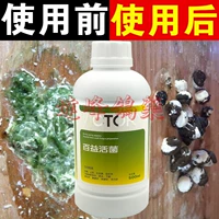 Thuốc chim bồ câu Hannover [vi khuẩn sống Baiyi] chim bồ câu đua cung cấp chim bồ câu ruột Salmonella chim vẹt chim gia cầm - Chim & Chăm sóc chim Supplies giá lồng chim