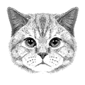 猫孩子品牌印章店