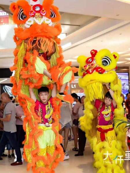 Authentic Wool Lion Dance Props, Wool Dragon Lanterns, Wool Southern Lions, Wool Awakening Lion Props, Genuine Awakening Lion Props, Fake Ones Will Be Compensated Tenfold