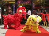 Львиный танец Лев Пробуждение Фошана бодрствование льва танце