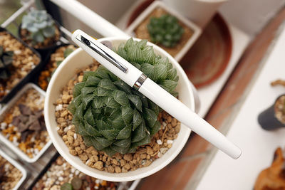 A small white pen - a metal-lacquered fine art pointed fountain pen