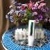 Counter mỹ phẩm chính hãng Sữa dưỡng da nho Zhiman Zhizhi bây giờ là một loại kem massage thân thiện với da - Kem massage mặt