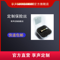 Enjoy sound SOUNDAWAER official custom fuse tube bile Machine CD digital broadcast all-in-one turntable A1