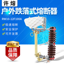 Allowable melting high voltage dropout fuse RW10-12F-100A-200 A ceramic insulator high voltage fuse
