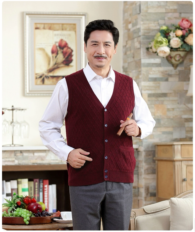 2017 mới mùa xuân và mùa thu trung niên nam cha nạp knit vest cardigan V-Cổ len vest kích thước lớn