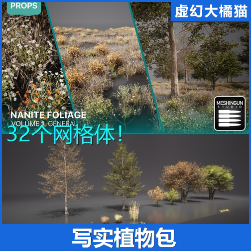 Unreal Ue5.1+Nanite Foliage Vol1 Realistic Plant Models, Trees, Shrubs, Dead Grass, Wildflowers