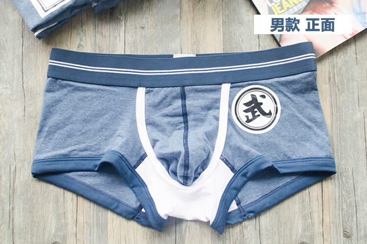 4 + PIZ những người yêu thích đồ lót sexy nam boxer của phụ nữ tam giác bông thấp eo sexy kung fu võ thuật thoáng khí