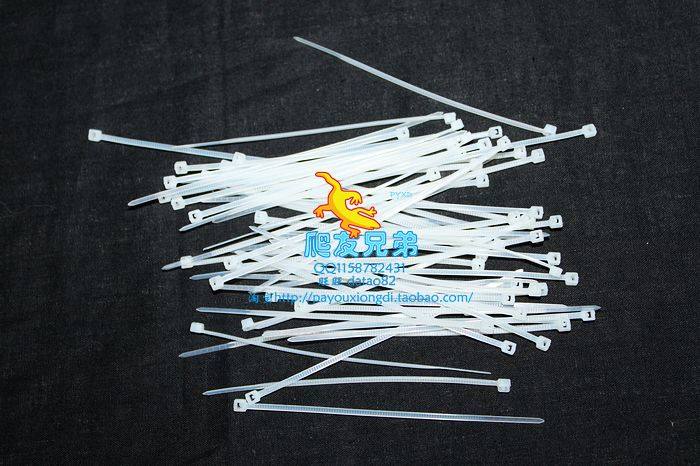 Tie zah buckle with dead dog reptile box decoration Scape Chameleon Chameleon web building View