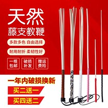 Vine Dogg Whip Home Soft Teacher Female Private Tutor Cane Whip Bamboo Whip Explaining The Baton Creative Teaching Stick Teacher Use