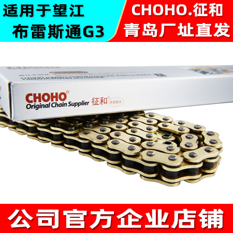 Suitable for Wangjiang 150 Breston g3 locomotive sign and original silent thickened super oil seal gold chain