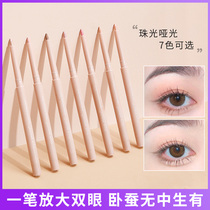 DIJIA silkworm pen repair matte pearlescent eye shadow natural long-lasting service waterproof sweat-proof eye makeup brighten
