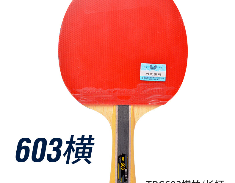 Six -Star Table Tennis Racket_11.jpg