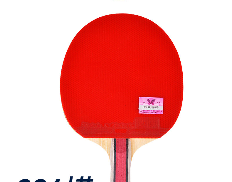 Шесть -звездный настольный теннис Racket_04.jpg