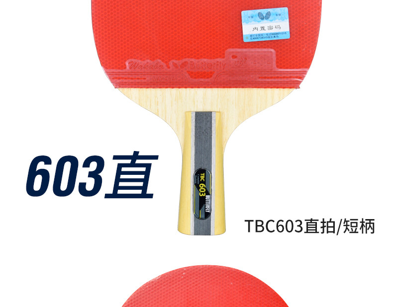 Six -Star Table Tennis Racket_10.jpg
