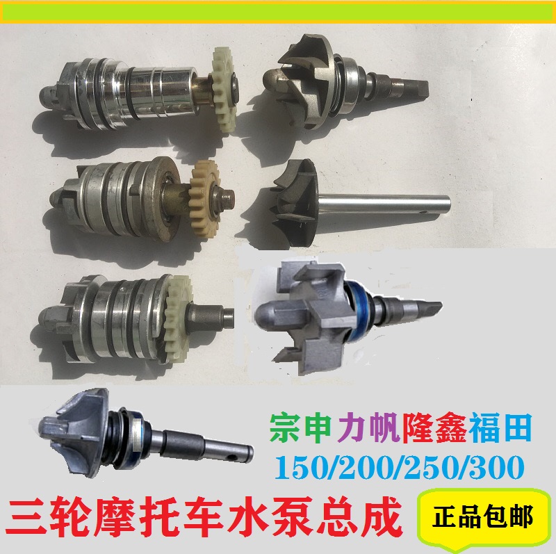 Three wheeled locomotive water cooling engine water pump assembly Zongshen 200 Hu Lun Xinlifan Futian Dajiang 150