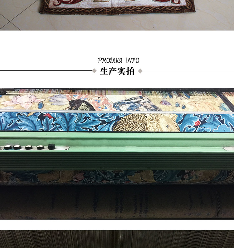Trường mới của Bỉ tấm thảm jacquard tấm thảm của các loài chim hiện đại phân phối gia dụng hộp lối bình thảm thêu hoa sơn - Tapestry thảm treo tường bản đồ thế giới