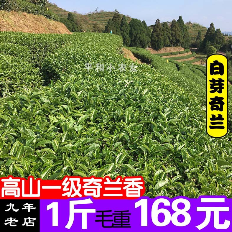 White Bud Chilan High Altitude Mountain Class Tea Uolong Tea Fujian Middle Fire Chilan Fragrance and Small Farmers