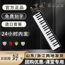 Chimei Elementary School Students Special Musical Instrument Black Bully Wang Harmonica 37 Key 32 Classroom Adult Professional Blow Playing