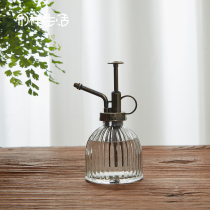 Fleshy sprinkler spray bottle Household gardening small watering watering can Retro pneumatic watering can Water mist watering can