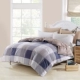 Chăn bông đơn mảnh 1,5 m sinh viên ký túc xá chăn bông 1,8m giường đôi 200x230 - Quilt Covers chăn ga gối đệm màu hồng