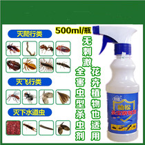 Baisong brand household insecticide cockroach anti-cockroach medicine Ant flea lice bug medicine bed mite spray aerosol
