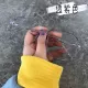 Прозрачная пурпурная доставка 0 градуса против легких объектива.