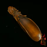Антикварная старая древесная резьба Желтополовая резьба Творческая сплошная деревянная крем чайная лопата