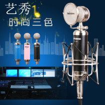  Yixiu TL-12 small bottle condenser microphone large diaphragm K song shouting microphone live sound card set package debugging