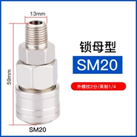 Самостоятельная мать SM20