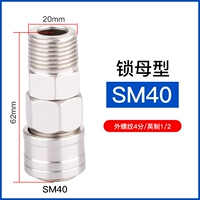 Самостоятельная мать SM40