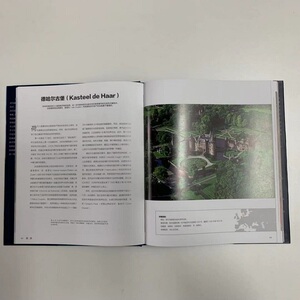 世界上最美的城堡 (意)加斯米娜·特里福尼(Jasmina Trifoni) 正版书籍 新华书店旗舰店文轩官网 中国摄影出版社