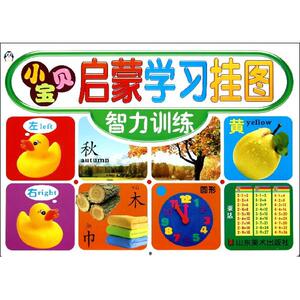 小宝贝启蒙学习挂图 智力训练 上海仙剑文化传播有限公司 正版书籍 新华书店旗舰店文轩官网 山东美术出版社