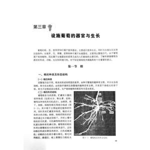 中国设施葡萄栽培理论与实践 王海波 等 正版书籍 新华书店旗舰店文轩官网 中国农业出版社