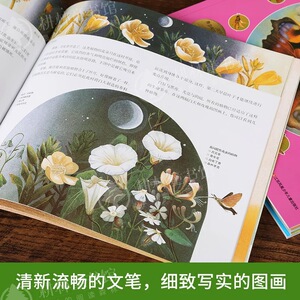 最美的科普全6册第2辑 少年版花园时钟种子森林药草绿色鸟的时钟迁徙的季节三年级必读小学生课外书阅读自然科普绘本图画书