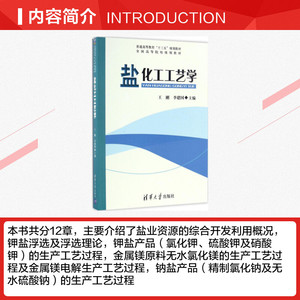 盐化工工艺学 王刚,李建国 主编 正版书籍 新华书店旗舰店文轩官网 清华大学出版社