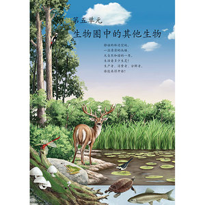 8年级初二上册生物学书人教版教材初中中学教材人教版义务教育教科书八年级初二上学期生物学课本人民教育出版社